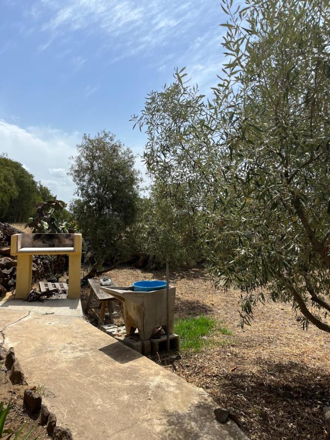Su Coduleddu Villa Cuglieri Bagian luar foto